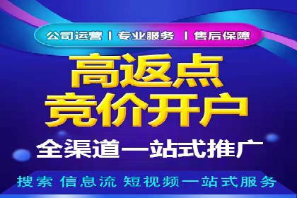 SEM推广实战：案例分析与优化